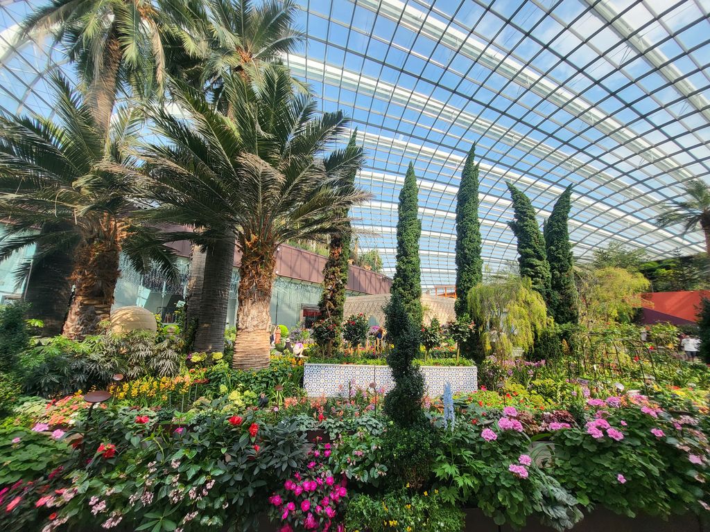 Melihat Berbagai Tanaman Eksotis di Flower Dome Singapura