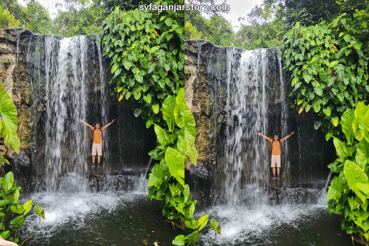 Waterfall singapore botanic gardens