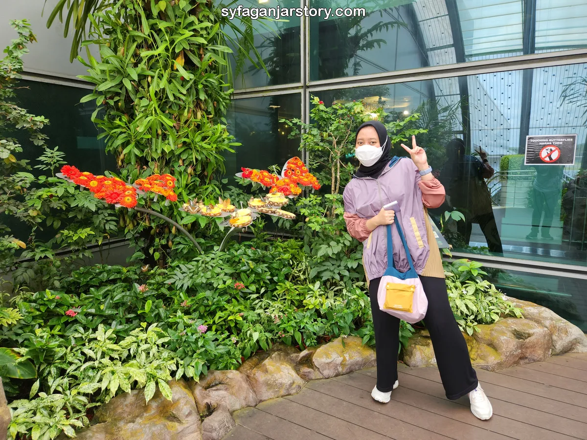 Butterfly Garden Changi T3