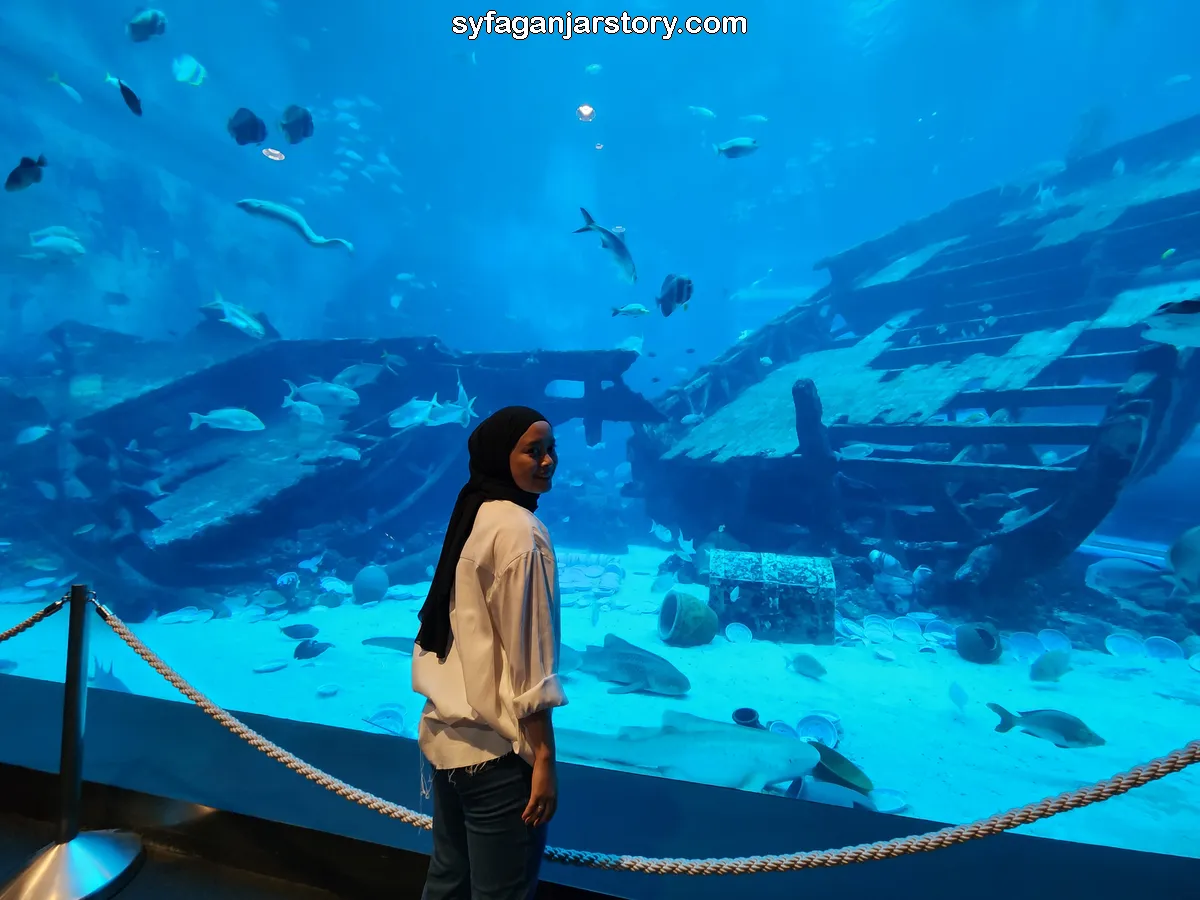 Shipwreck in SEA Aquarium