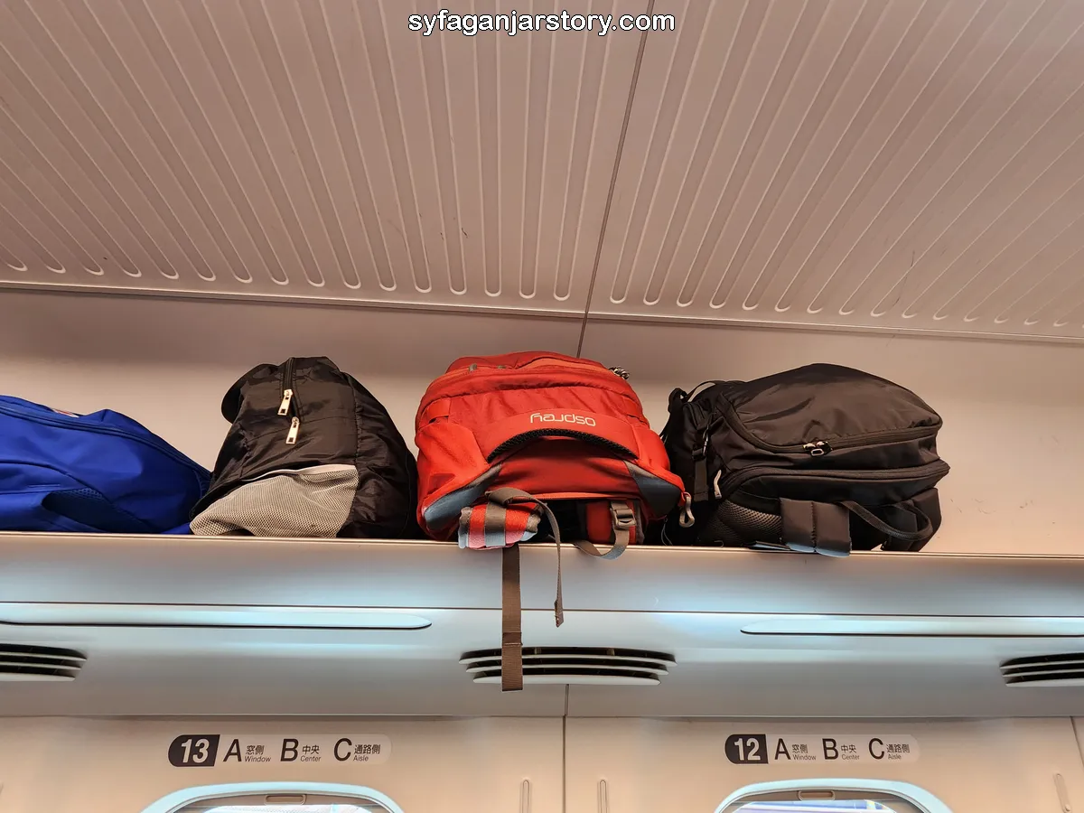 Overhead luggage compartment