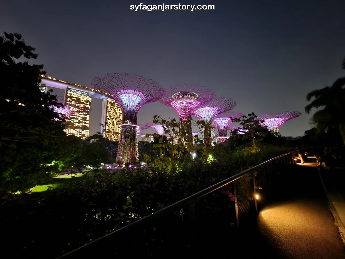 Supertree Gardens by The Bay