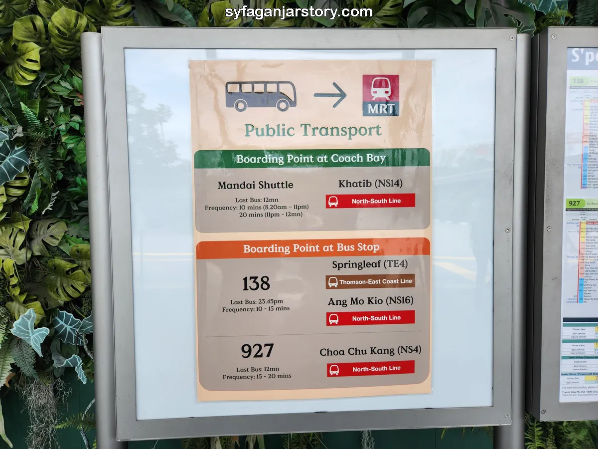 bus umum singapore zoo