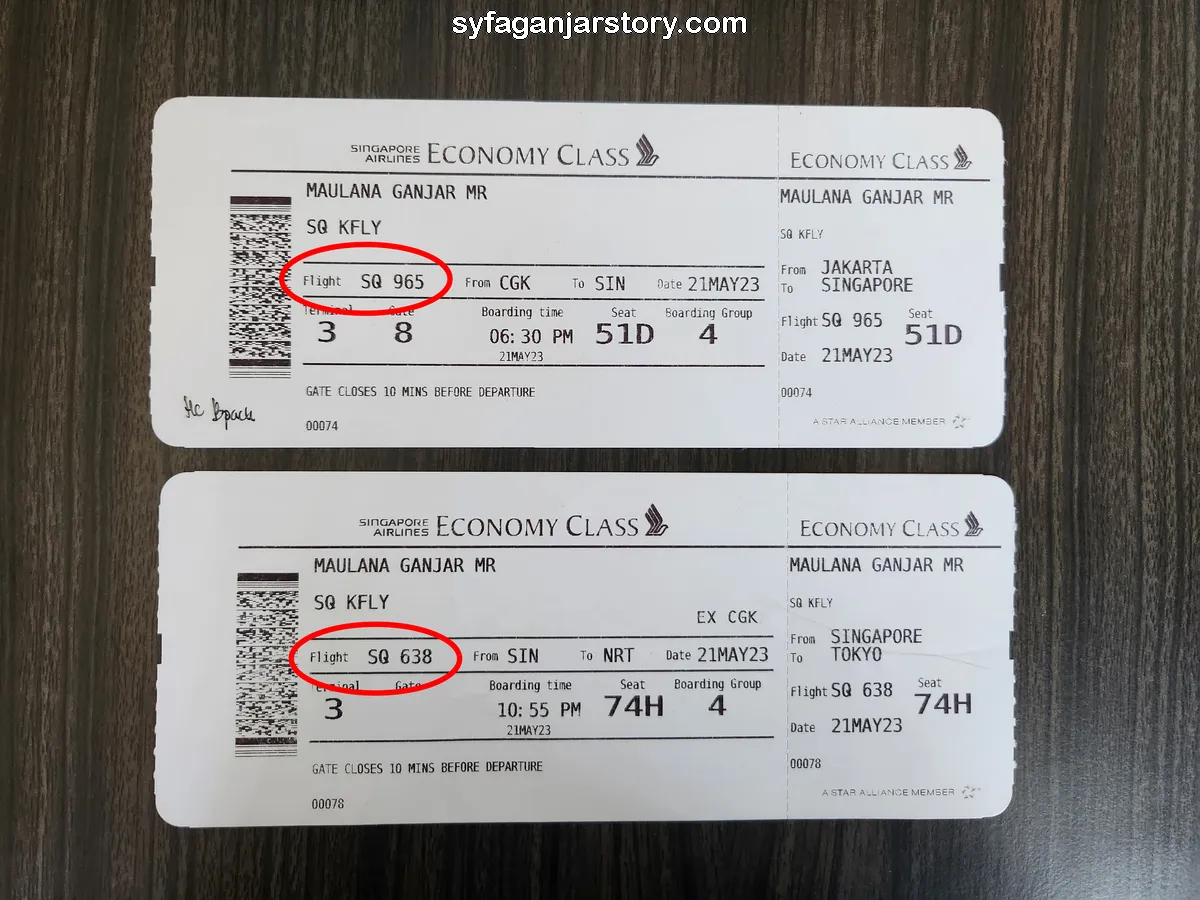 boarding-pass-nomor-penerbangan